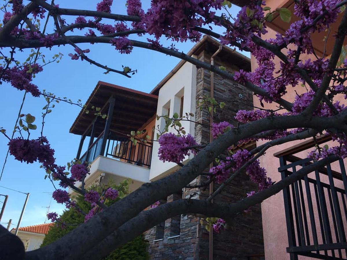 Nea Roda Apartments Dış mekan fotoğraf